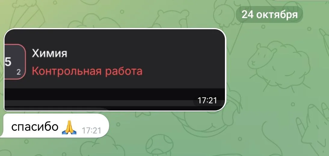 Скриншот отзыва ученика или родителя № 14