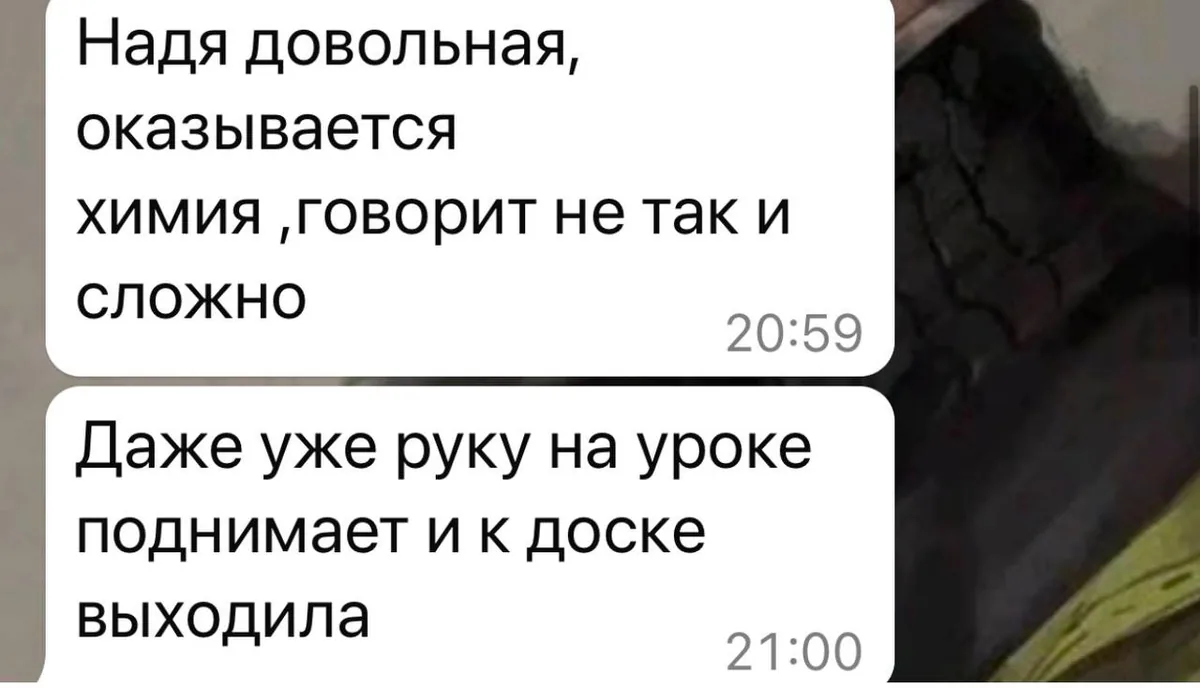 Скриншот отзыва ученика или родителя № 10